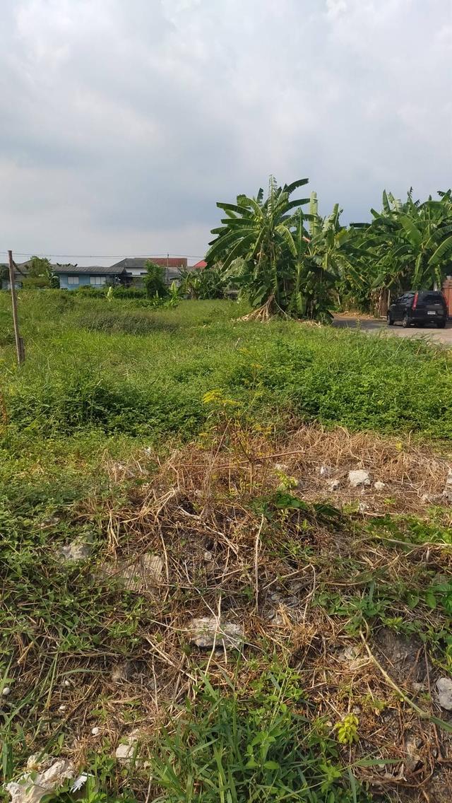 ที่ดินเปล่าถมแล้ว ติดถนน 5