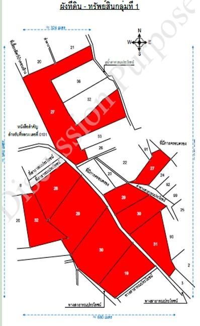 ขายที่ดินกลุ่มใหญ่ ต.บางน้ำจืด อ.หลังสวน จ.ชุมพร 196.27 ไร่ 4