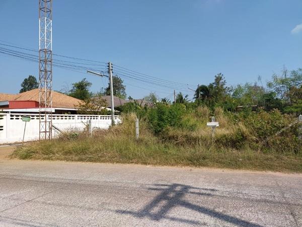 ขายที่ดิน 135 ตร.ว. บึงทับช้าง โคราช อยู่ติดกับโครงการ havana korat โทร 0940168212 รูปย่อยที่ 3