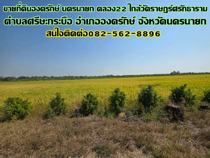 ขายที่ดิน 2แปลง องครักษ์ นครนายก คลอง22 ใกล้วัดราษฎร์ศรัทธาราม 1