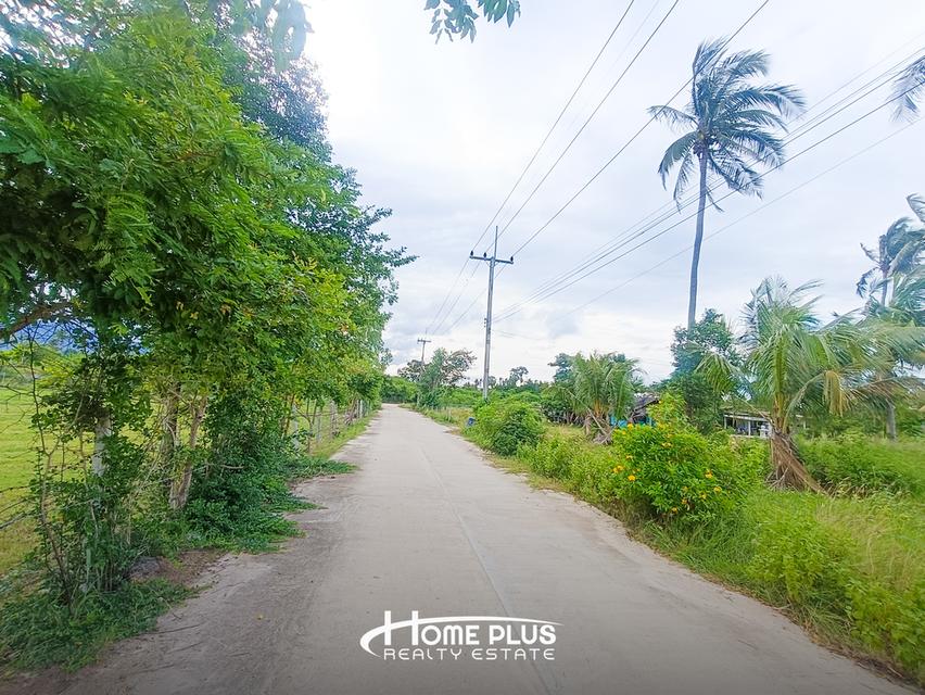 🌳 ขายที่ดินแปลงใหญ่ 14 ไร่ 24 ตร.ว. ใกล้สถานีรถไฟห้วยยาง ทับสะแก 12
