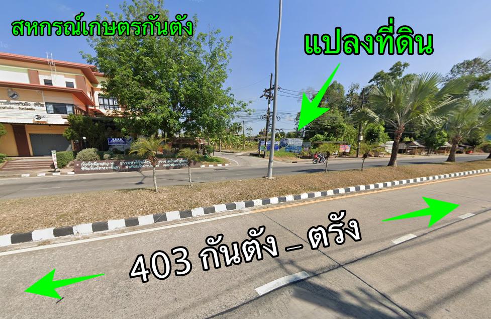 กันตัง ตรัง ขายที่ดินติดถนนในเมือง 1