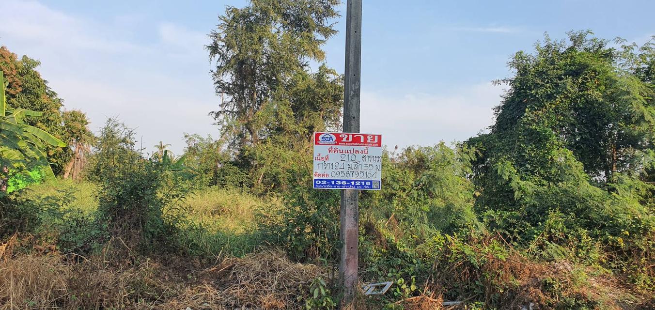 ขายที่ดินคลองโยง 210 คารางวา พุทธมณฑล นครปฐม แบ่งขายได้ 1