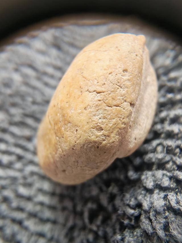 สมเด็จวัดพลับ พิมพ์พุงป่องใหญ่ รูปที่ 4