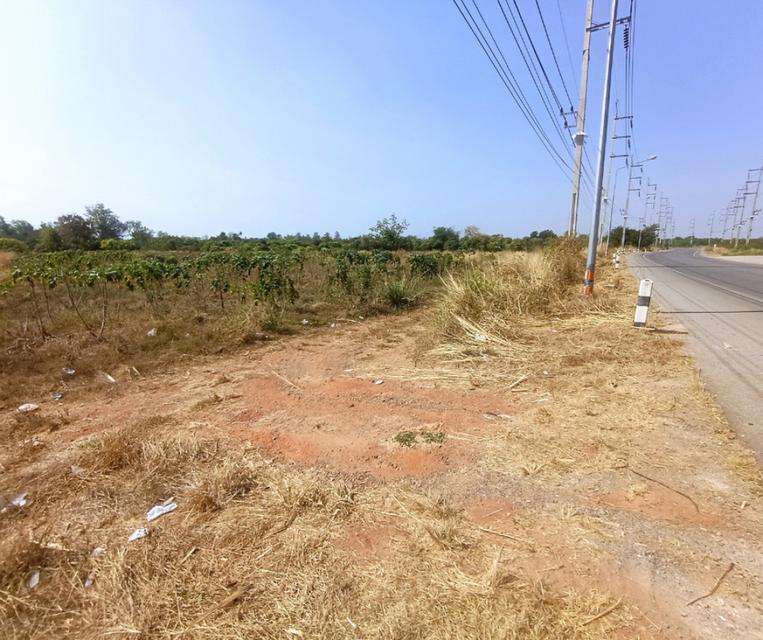 ขายที่ดินเปล่า 14-2-80 ไร่ ติดถนนสายราชบุรี 4016 อำเภอจอมบึง จังหวัดราชบุรี 5