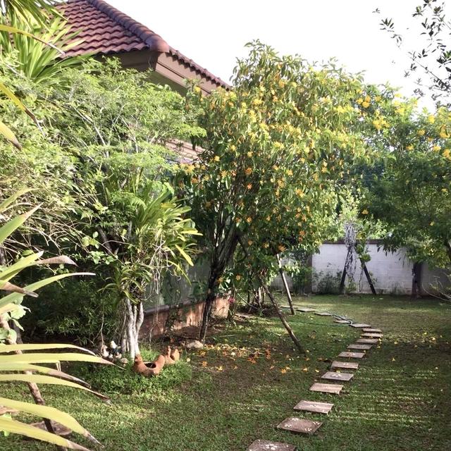 บ้านเดี่ยวสไตล์รีสอร์ท 5