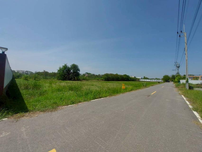 ขายที่ดินเปล่า ซอยเคหะการเกษตร2 ไทรน้อย นนทบุรี 3