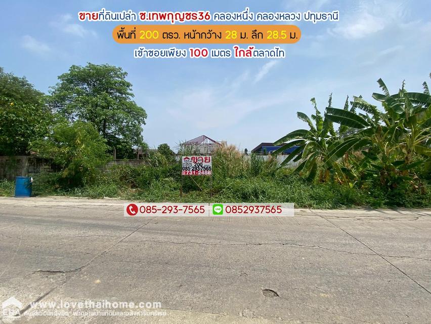 ขายที่ดิน ซอยเทพกุญชร36 คลองหนึ่ง คลองหลวง ปทุมธานี พื้นที่ 200 ตารางวา เข้าซอยเพียง 100 เมตร ใกล้ตลาดไท 1