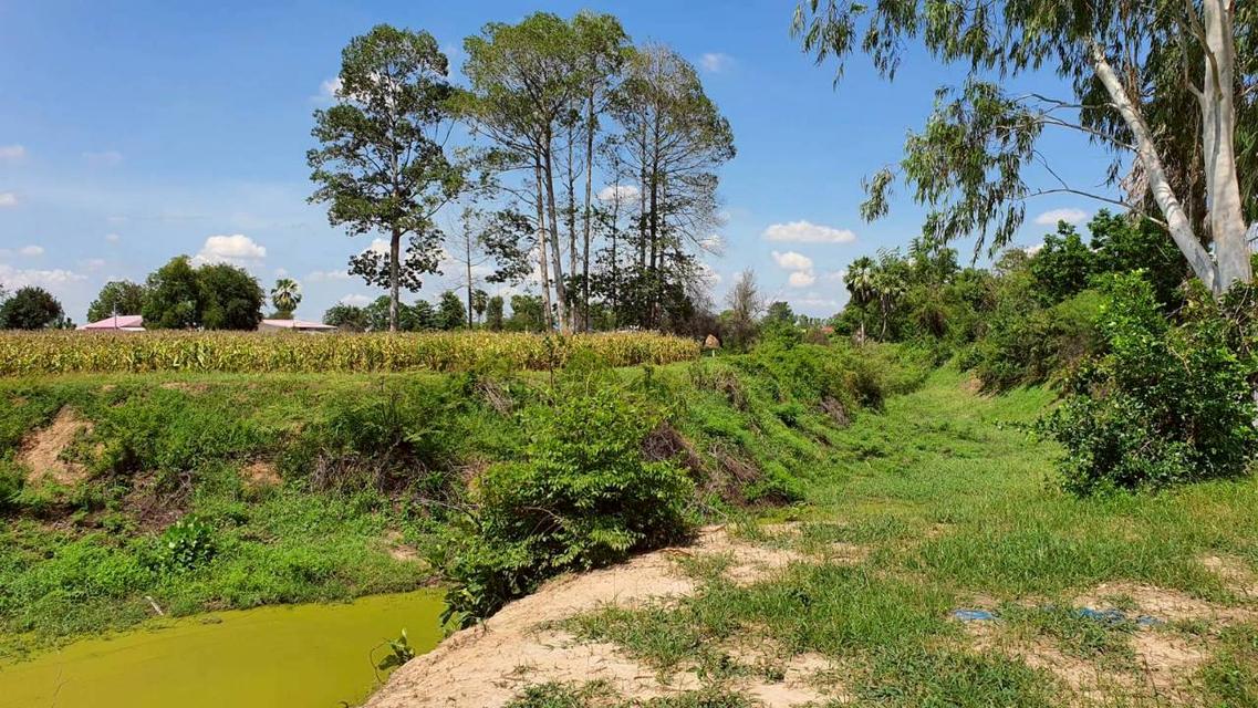 ที่ดิน อู๋ทอง สุพรรณบุรี 2