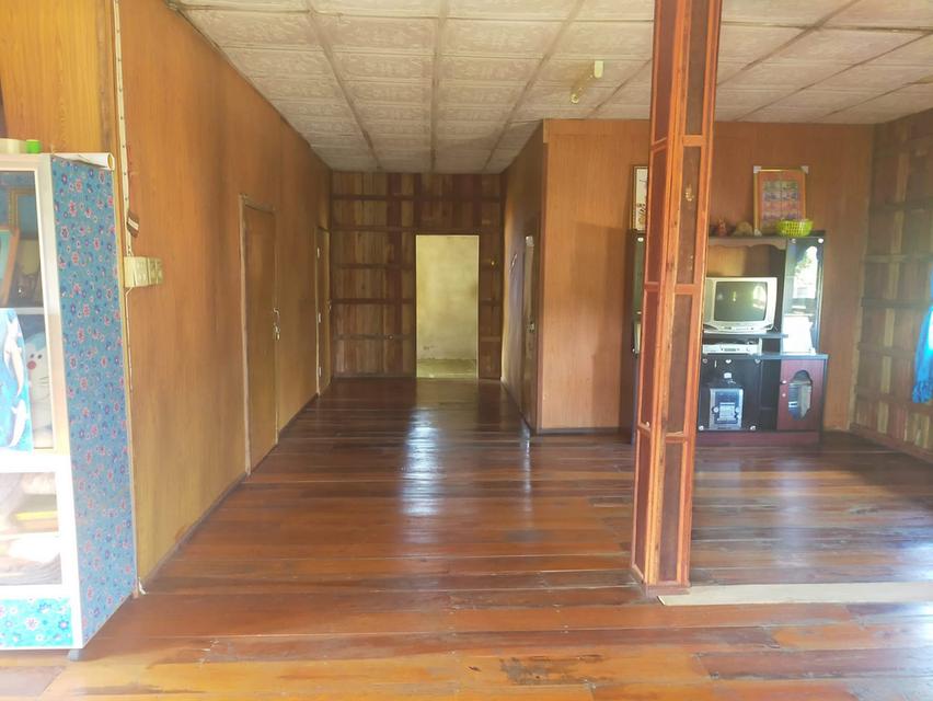 ขายบ้านพร้อมที่ดิน วิวสวย บรรยากาศดี 🌿 🏡 บ้าน 2 ชั้น บนไม้ ล่างปูน 📐 เนื้อที่ 1 ไร่ 1 งาน 💰 ราคา 3.49 ล้านบาท (ต่อรองได้) 📍 บ้านเหมืองลึก ต.โป่งแ 8