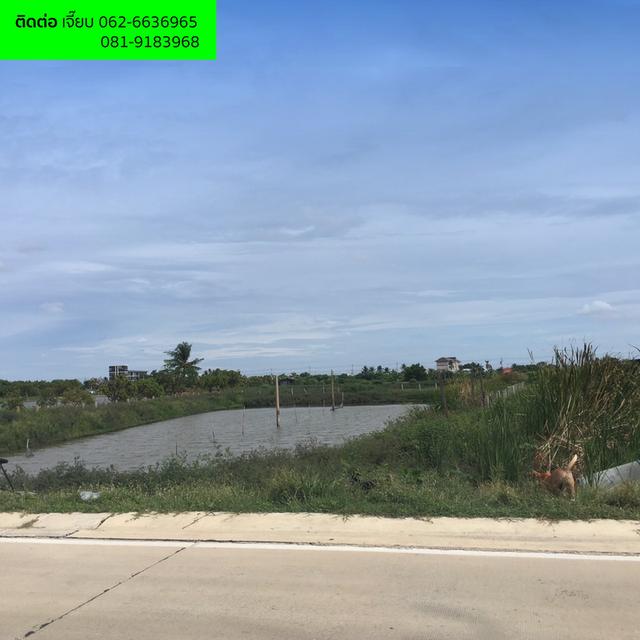 ที่ดิน 5 ไร่ ย่านลาดกระบัง - สุวรรณภูมิ 4