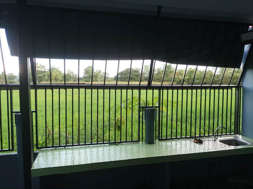 ขายบ้านพร้อมที่ดิน ต.ตลาดใหญ่ อ.ดอยสะเก็ด จ.เชียงใหม่ 3