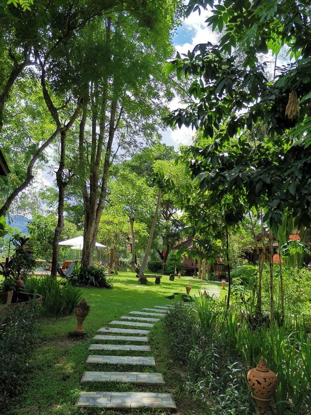 ขายรีสอร์ทติดน้ำปิง ราคา 180 ล้าน 3-2-67 ตรว(อำเภอเมืองเชียงใหม่) 4