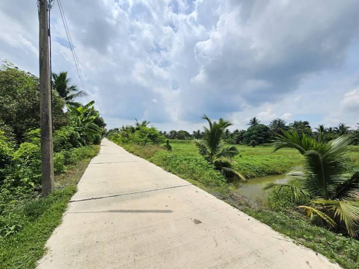 ขายที่ดินเปล่า แปลงสวย ซอยโรงช้อน หนองเสือ ปทุมธานี 7
