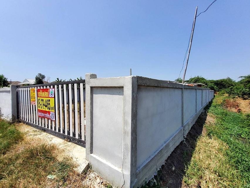 ขายด่วนที่ดินคลองโต๊ะใหม่ 100 ตรว ล้อมรั้วและทำกำแพงไว้แล้ว อ.บางบัวทอง จ.นนทบุรี 3