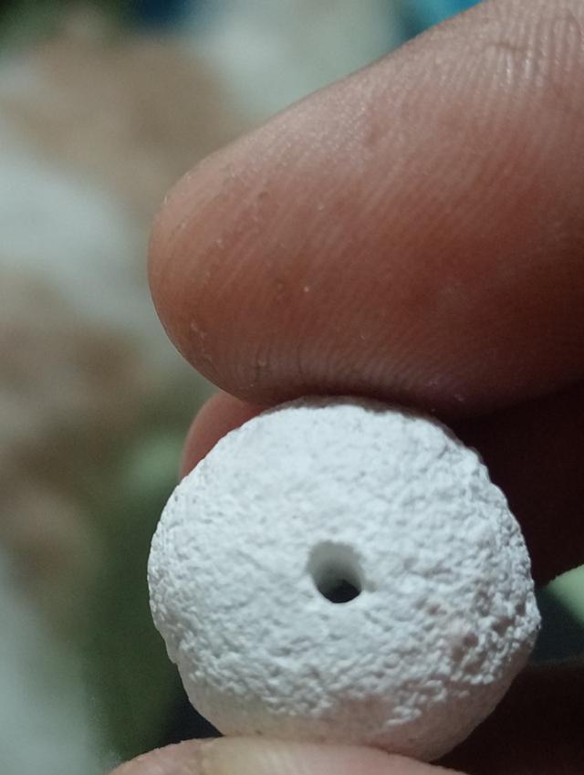 ลูกอมหลวงปู่ดู่ วัดสะแก 4