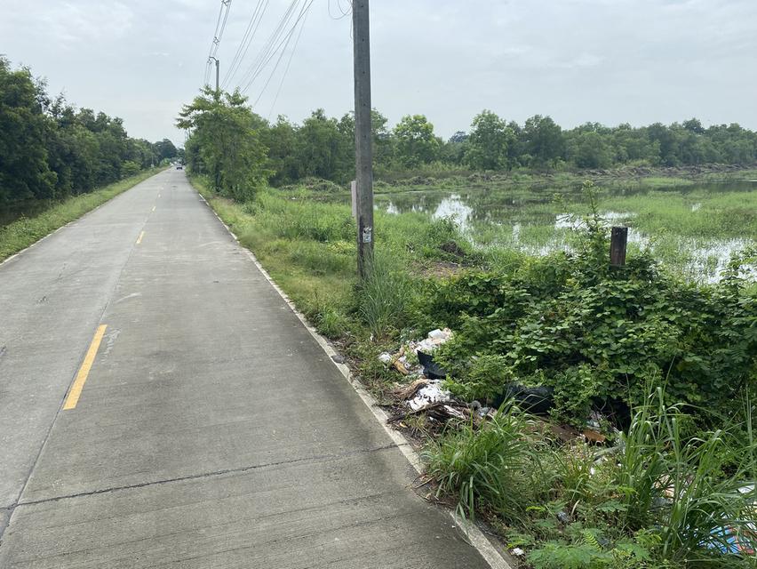 ที่ดินเปล่า เชียงรากน้อย สาทโคก ปทุมธานี 5