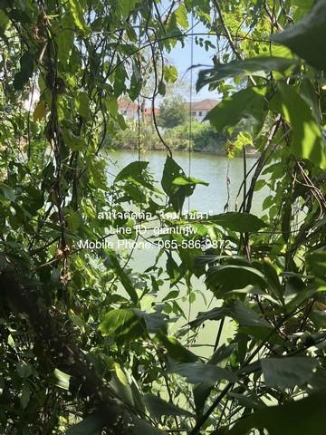 บ้าน บ้านเดี่ยวติดทะเลสาบ พุทธมณฑลสาย 3 19000000 บาท. 0 RAI 2 Ngan 91 ตาราง-วา ใกล้กับ โครงการใกล้สนามกีฬาส่งเสริมสุขภาพ 6