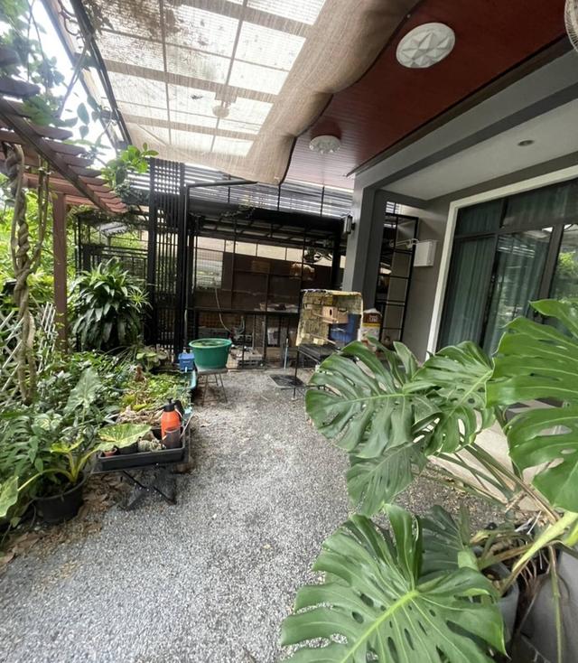บ้านเดี่ยว พัฒนาการ38 สวนหลวง 13