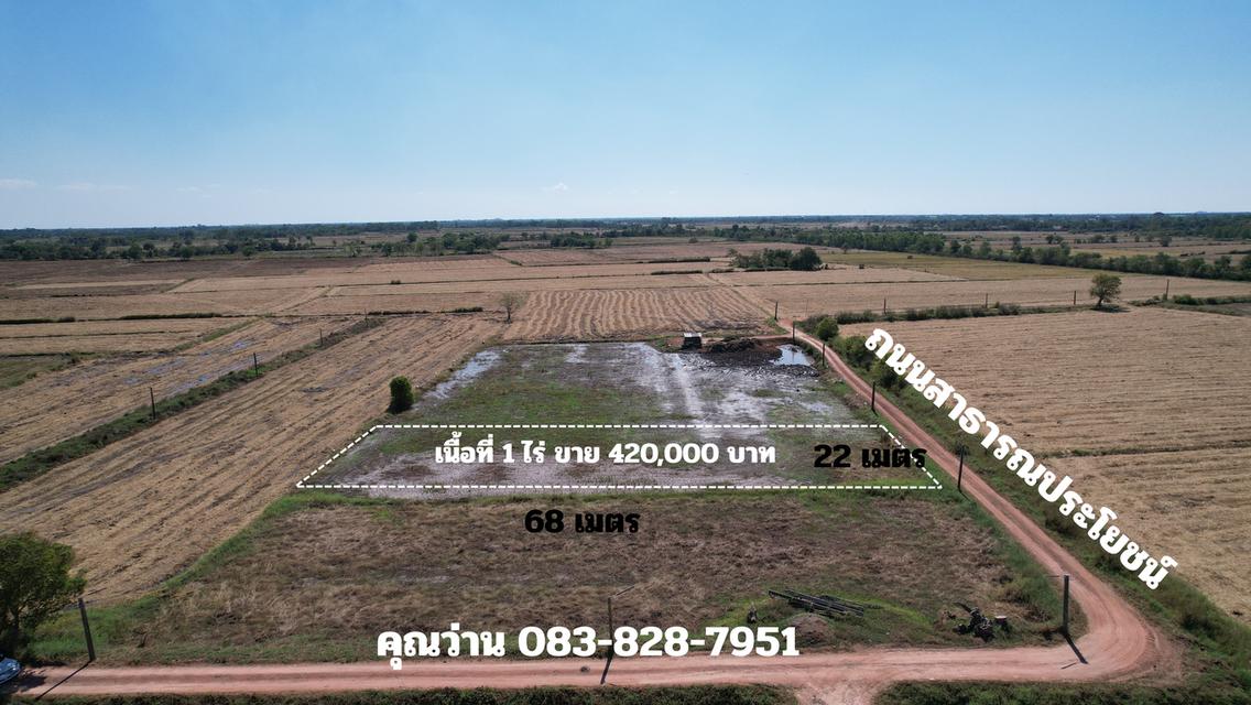 ขายที่ดิน 1 ไร่ มีโฉนด อ.ปากพลี ขายพร้อมโอน 420,000 บาท 3