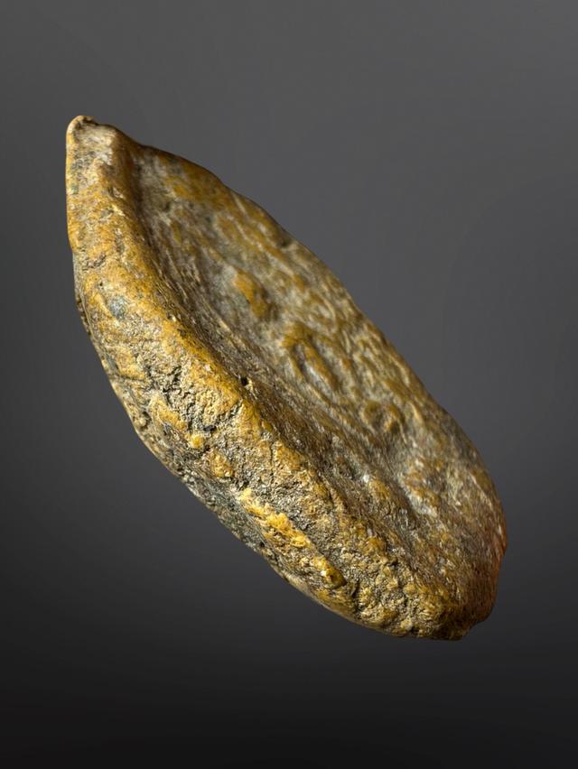 พระขุนแผนหลวงหลวงปู่ทิมวัดละหารไร่เนื้อผงพายกุมาร รูปที่ 4