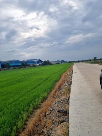 ขายที่ดิน 40 ไร่ ถมแล้ว เขต EEC สีม่วงจุดสีขาว ติดถนนสาธารณะ อ.เมืองฉะเชิงเทรา รถใหญ่เข้าสะดวก 4