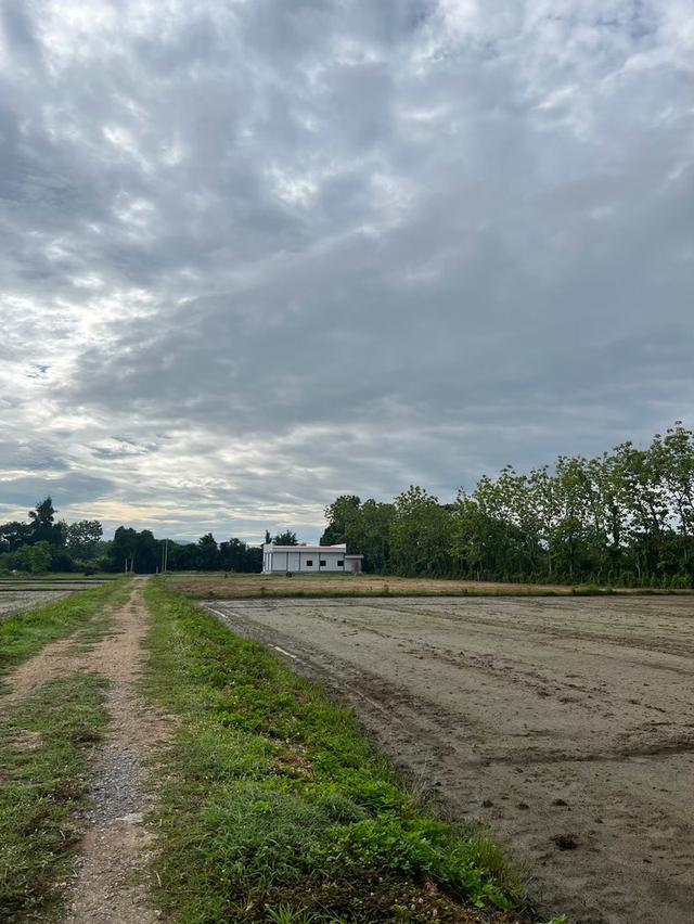 ที่ดิน เจ้าของขายเอง ปี 2569 14