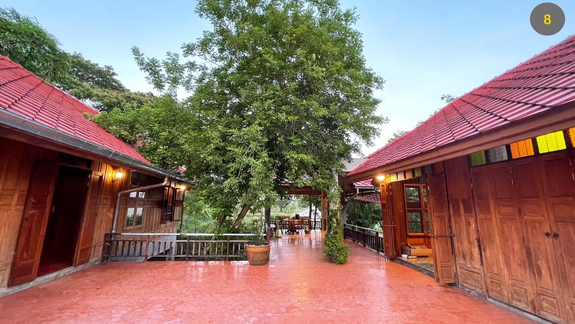 ที่ดินพร้อมสิ่งปลูกสร้าง 7