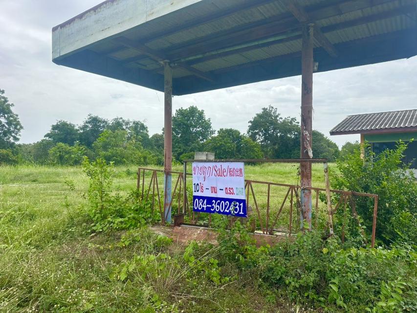 ขายที่ดิน หนองแซง สระบุรี ถมแล้ว 1.2ล้าน/ไร่ 11