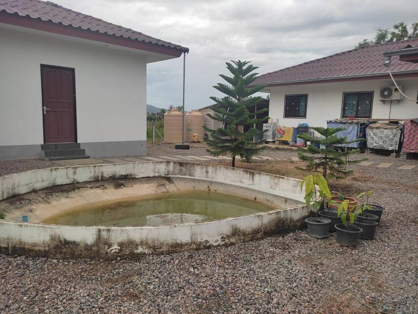 บ้าน 2 หลังบนที่ดิน 1 ไร่ 7