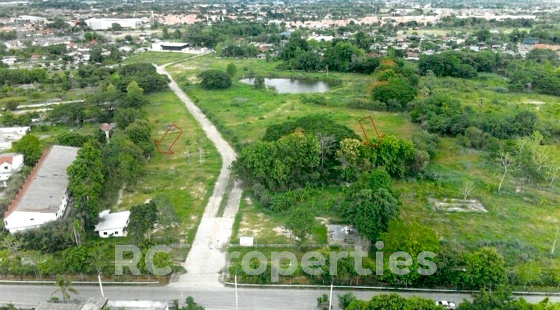 ขายที่ดินทำเลทอง อ.หางดง เชียงใหม่ อยู่ใกล้ศูนย์หัตถกรรมบ้านถวาย เนื้อที่ 68-1-02 ไร่ 9