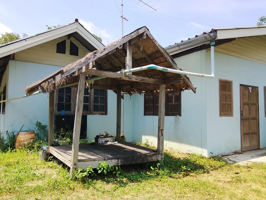 ที่ดิน 200ตรว. อ.เมือง จ.นครราชสีมา 7