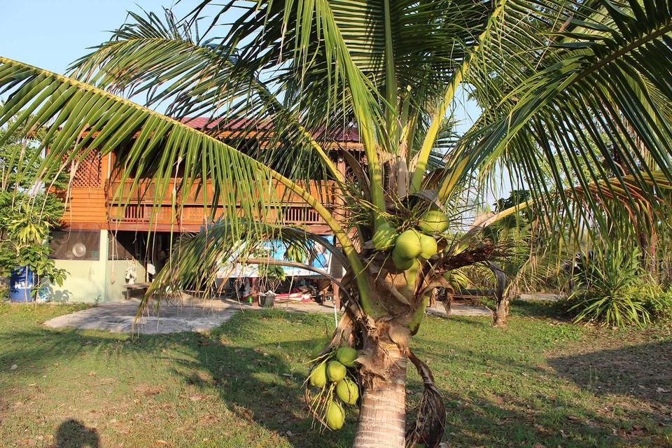 Thai house for sale in KhonKaen 16