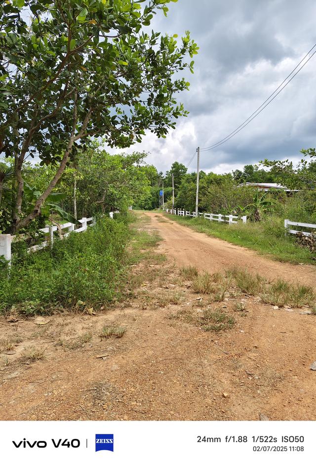 ขายที่ดินในหมู่บ้านเพชรกล้าการ์เด้นโฮม ต.คลองทราย อ.นาทวี จ.สงขลา ใกล้ศาลจังหวัดนาทวี ที่ติดถนน 2 ด้าน เนื้อที่ มี 6 ห้อง  ราคา ห้องละ 250,000 บาท  15