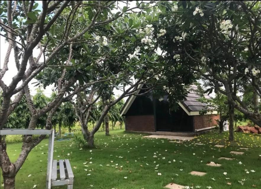 บ้านพักสไตล์รีสอร์ท 11