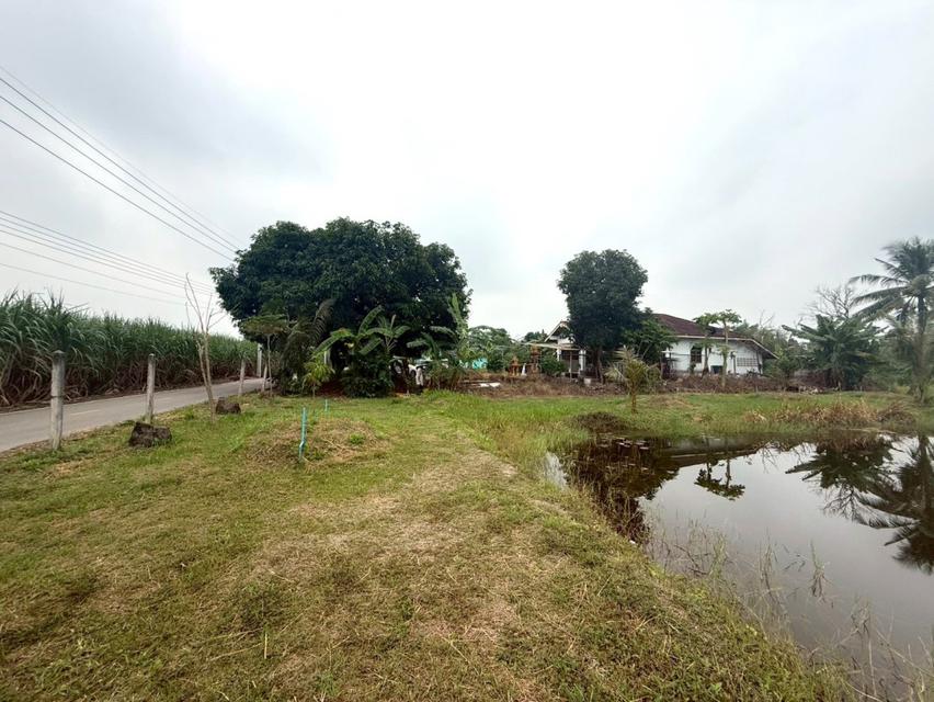 ขาย ที่ดิน พร้อมสวนทุเรียน มีสระน้ำ ระบบสปริงเกอร์ ME391 บ่อกวางทอง บ่อทอง ชลบุรี . 154 ตรม 7 ไร่ 3.7 ตรว ใกล้ถนน 3340 ท 3