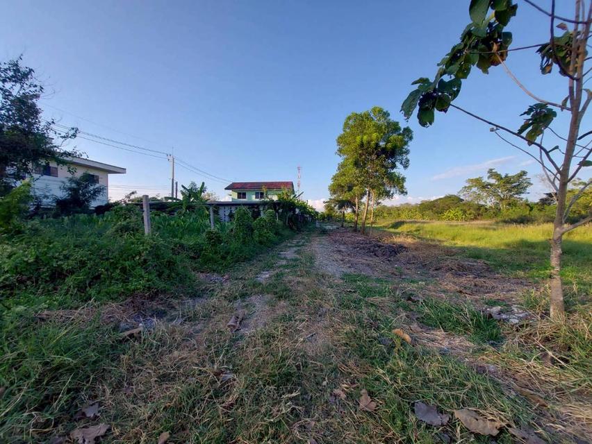 ขายที่ดินเปล่า ซอยวัดสุขใจ 14 แยก 4 คลองสามวา กรุงเทพมหานคร 6