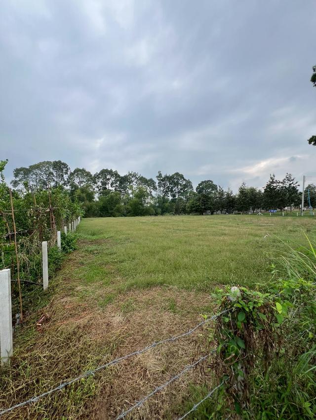 ขายที่ดินติดแม่น้ำเพชรบุรี 2