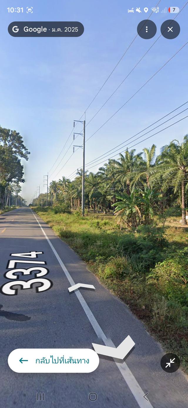 ที่ดินสวนปลามพร้อมสิ่งปลูกสร้าง1หลัง 1
