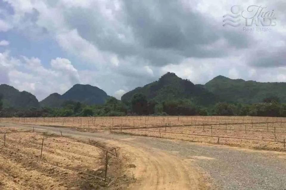 ขายที่ดิน ริมน้ำในเมืองโอกาสแบบนี้ไม่ได้มีบ่อย — แปลงใหญ่ วิวภูเขา ติดแม่น้ำแควน้อย 4