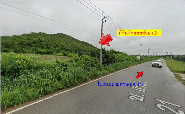 ขายที่ดินเนินเขา_หัวหิน ประจวบฯ 7
