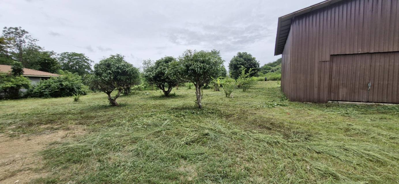 ขายที่ดินพร้อมสิ่งปลูกสร้าง 8