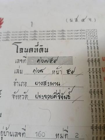ขายที่สวนยางยกแปลง โฉนดครุฑแดง 5 ไร่ 30 ตารางวา ประจวบคีรีขันธ์ 12