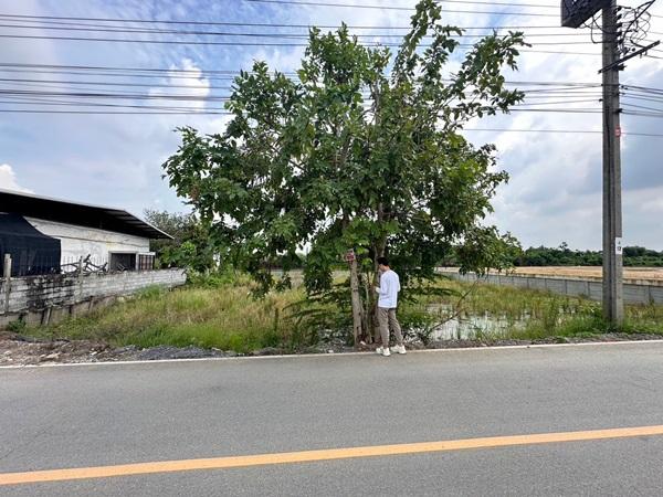 ขายที่ดิน 263 ตรว. พร้อมถมดินให้ ซอยวัดพูนพิมลราช ต.พิมลราช อ.บางบัวทอง จ.นนทบุรี โทร 088-899-8965 5
