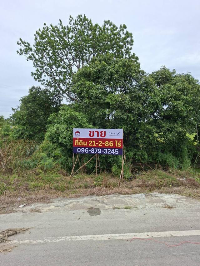 ขาย ที่ดิน ติดถนนใหญ่ 2 แปลง เพชรบุรี ขาลงใต้ ท่ายาง เข้าชะอำ 21-2 -86 ไร่ 5
