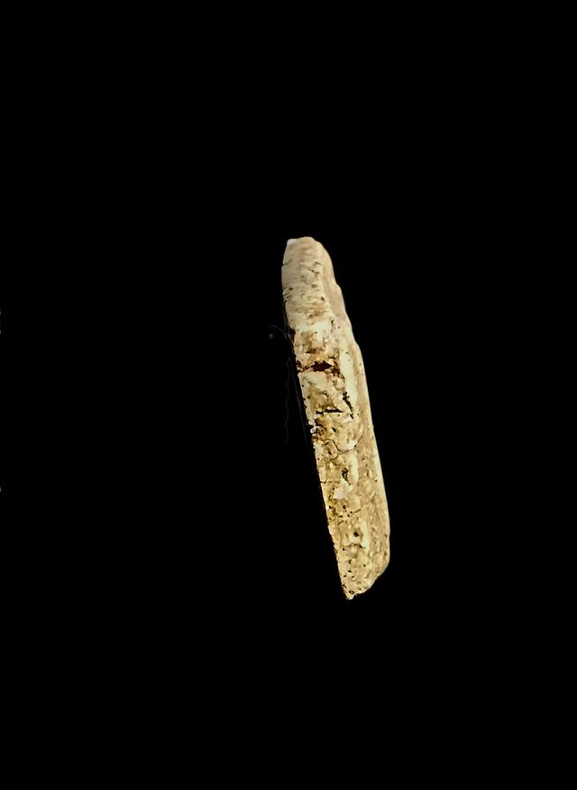 พระสมเด็จวัดระฆัง พิมพ์ใหญ่ หลังกระดาน รูปที่ 3