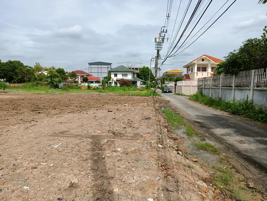 รูป ให้เช่าที่ดิน 201ตรว ซอยสมเอก ปากเกร็ด นนทบุรี 4