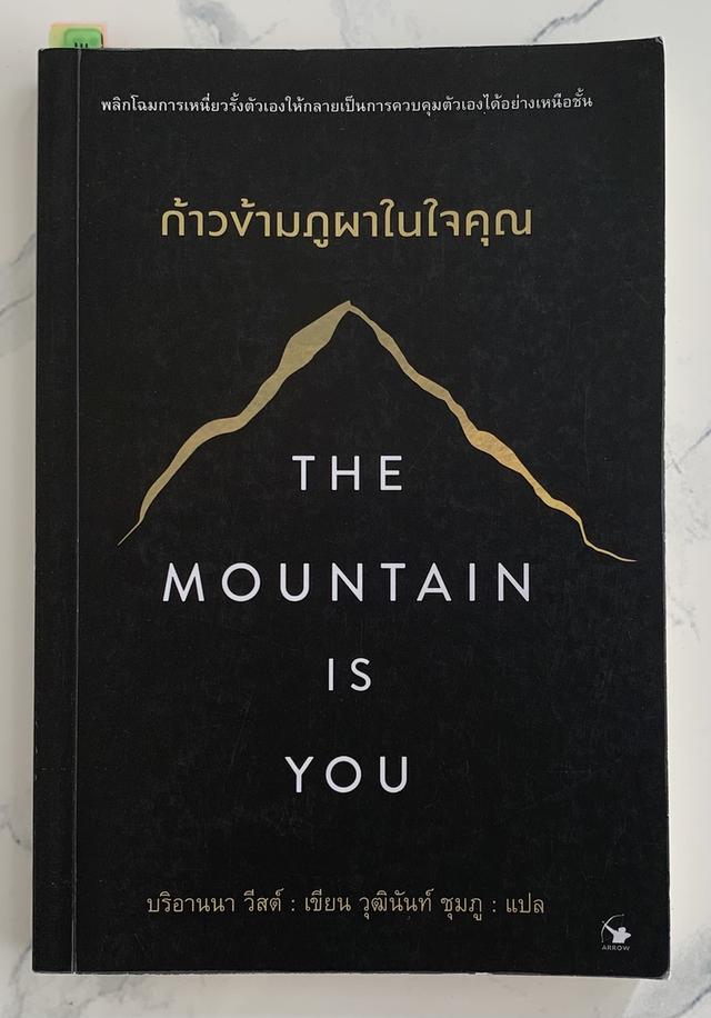 📚 The Mountain Is You — 130.-