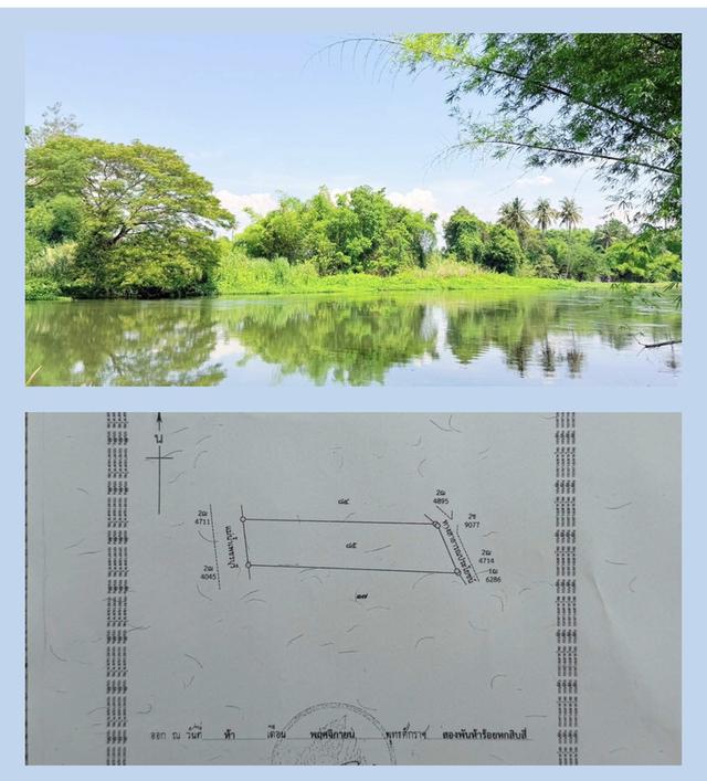 แม่น้ำแม่น้ำเพชรบุรี 1 ไร่ อากาศดี ใกล้รีสอร์ท มีที่งอก แถมฟรี 2