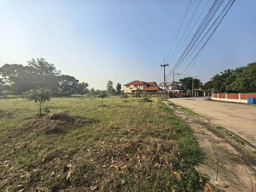 ⛳ เหมาะสำหรับปลูกสร้างบ้าน 🏡ในโครงการหมู่บ้านเดอะลากูน1 อำเภอสามโคก จังหวัดปทุมธานี ติดละเลสาป 19